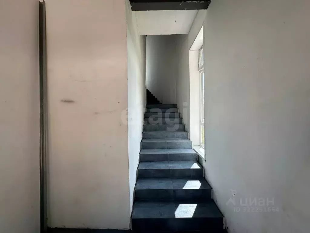 Торговая площадь в Московская область, Сергиев Посад ул. Дружбы, 5 ... - Фото 1