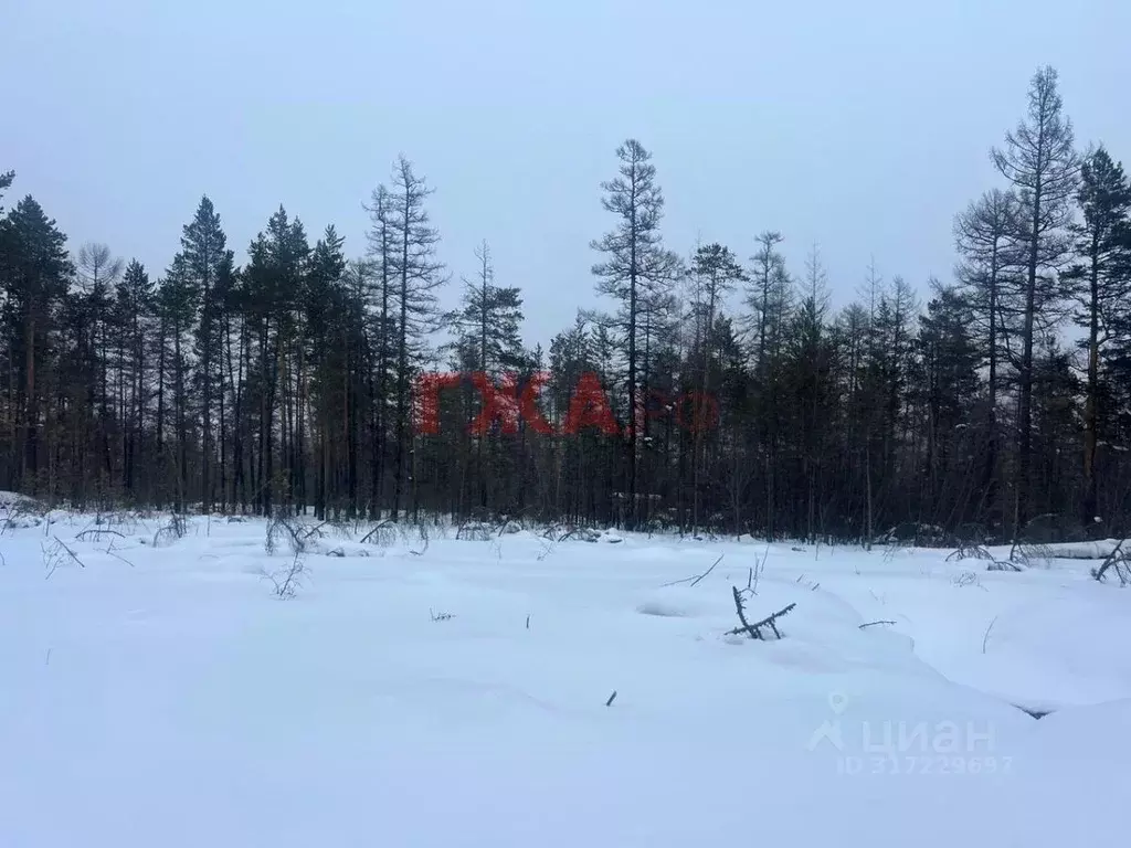 Участок в Саха (Якутия), Нерюнгри МИЗ кв-л,  (12.0 сот.) - Фото 0