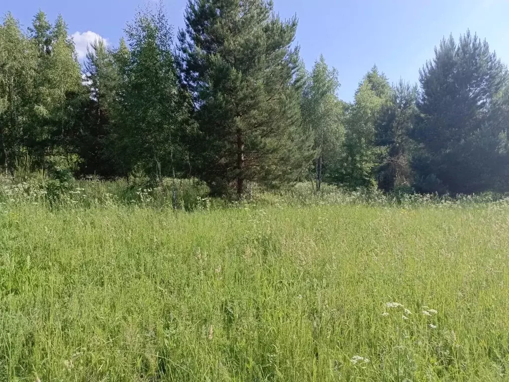 Участок в Московская область, Кашира городской округ, д. Малеево  ... - Фото 1