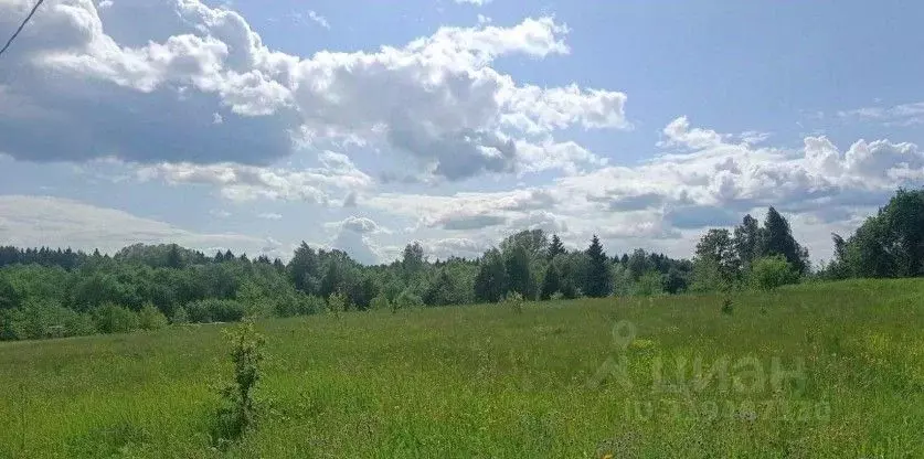 Участок в Московская область, Можайский муниципальный округ, д. ... - Фото 0