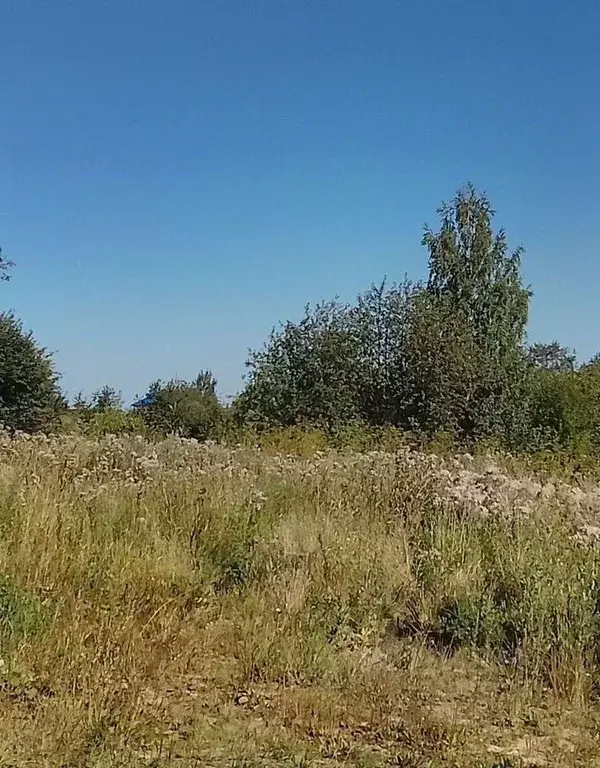Участок в Свердловская область, Нижний Тагил Рудничная ул., 4 (13.0 ... - Фото 1
