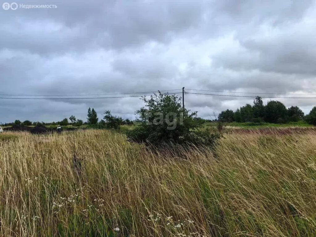 участок в калининградская область, гурьевский муниципальный округ, . - Фото 0