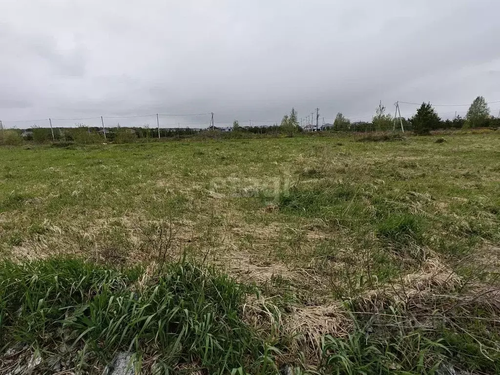 Участок в Свердловская область, Екатеринбург Аэродром ДНП,  (10.0 ... - Фото 0