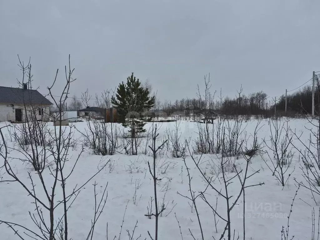 Участок в Воронежская область, Борисоглебск ул. Придорожная, 15 (6.43 ... - Фото 2