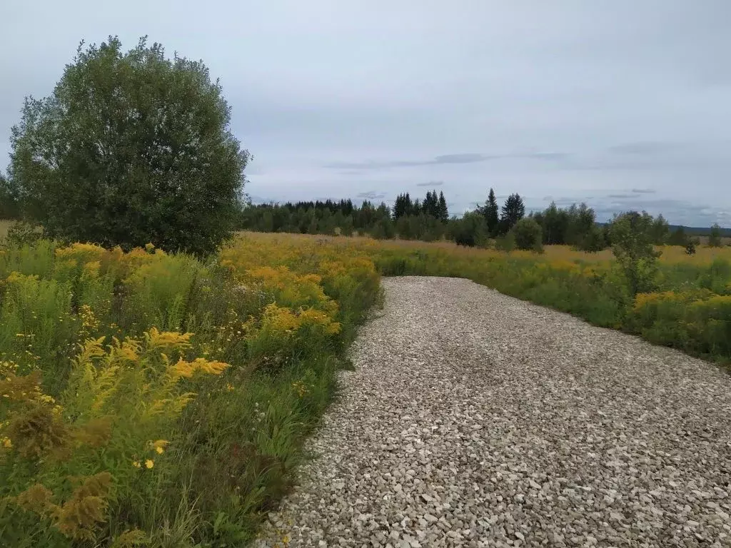 Участок в Нижегородская область, Богородский муниципальный округ, д. ... - Фото 1