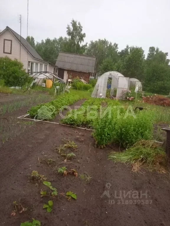 Дом в Тюменская область, с. Нижняя Тавда ул. Дружбы (25 м) - Фото 1