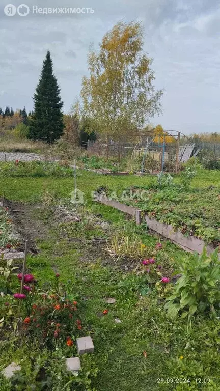 Участок в Ворогушинское сельское поселение, садоводческое товарищество ... - Фото 0