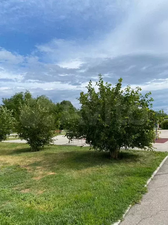 3-к. квартира, 79,6 м, 16/16 эт. - Фото 1
