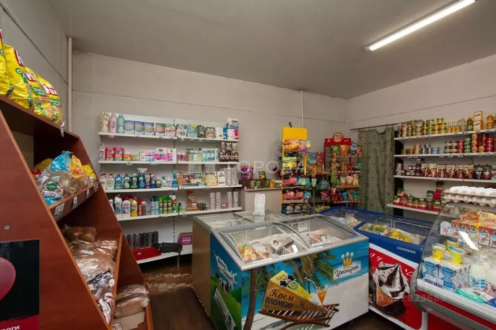 Торговая площадь в Кемеровская область, Новокузнецк ул. Мичурина, 35 ... - Фото 1