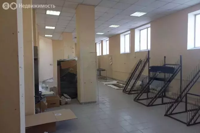 Помещение свободного назначения (246 м) - Фото 0