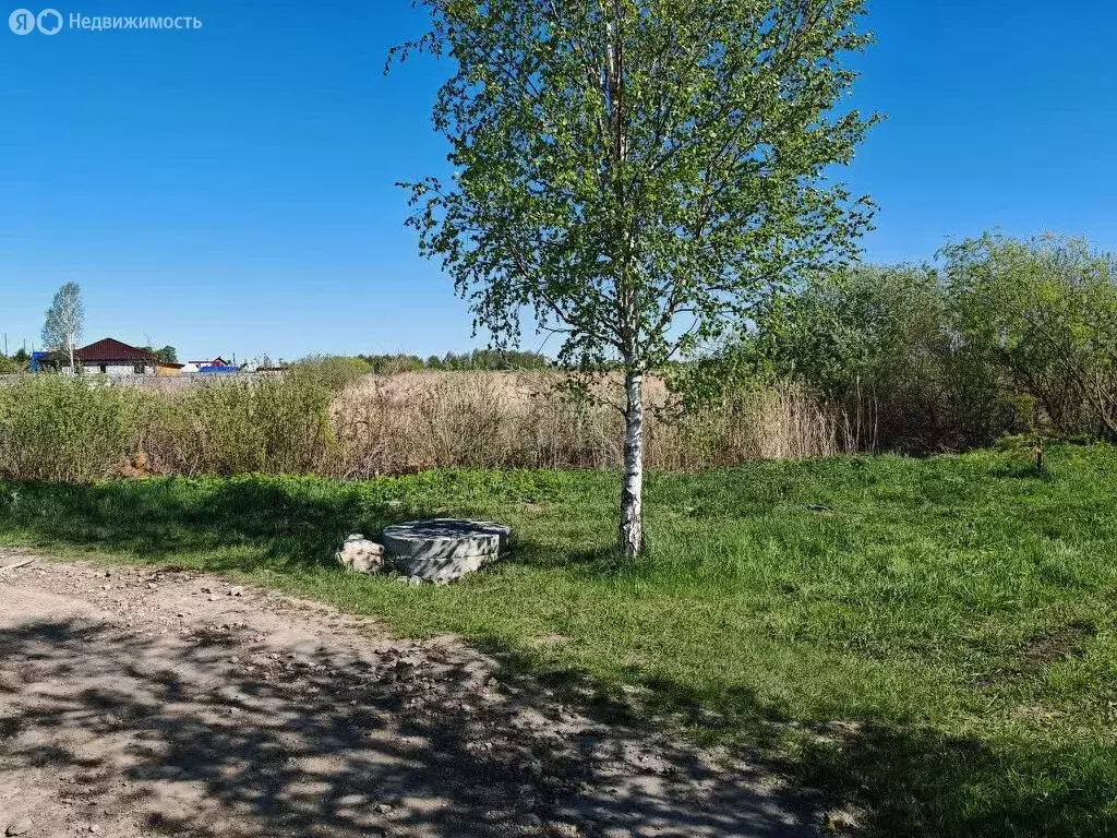 Участок в Тюмень, территория СОСН Сирень, Грушевая улица (9 м) - Фото 1