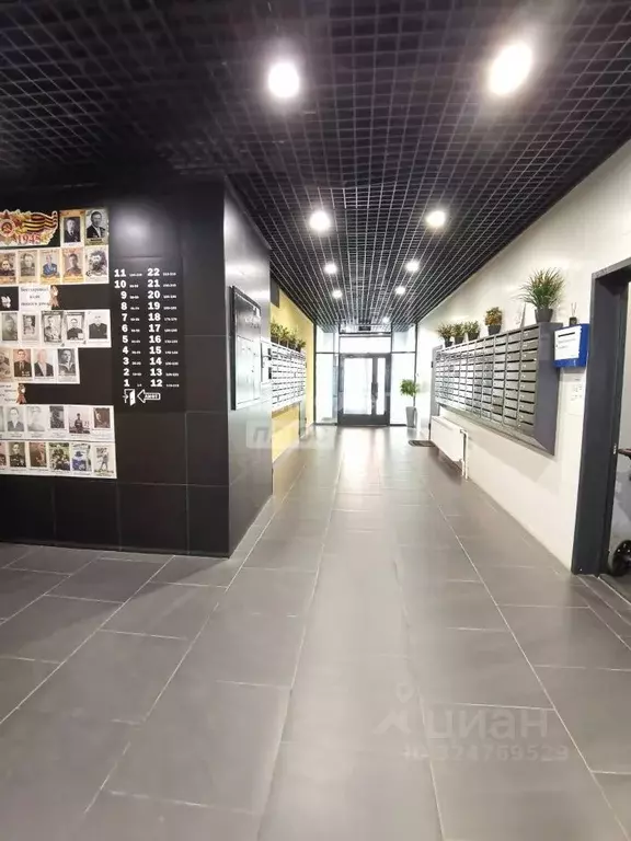 Студия Калужская область, Калуга ул. 65 лет Победы, 21 (25.2 м) - Фото 2