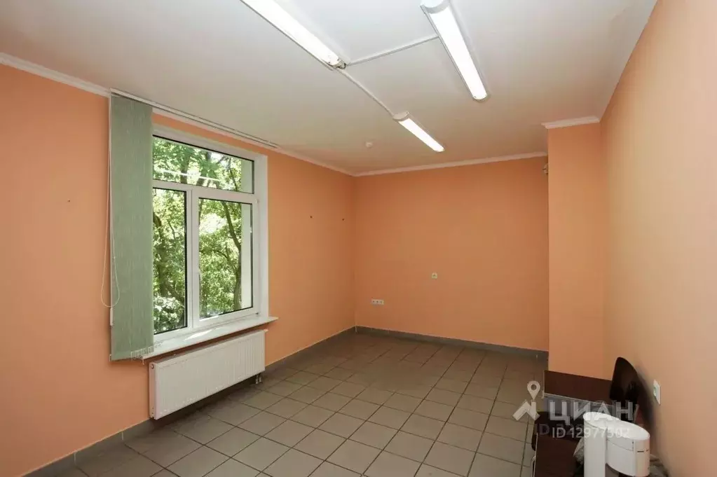 Офис в Калининградская область, Калининград ул. Горького (32 м) - Фото 1