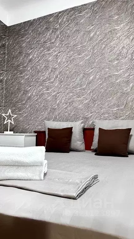 1-к кв. Новосибирская область, Новосибирск ул. Ленина, 55 (35.0 м) - Фото 1