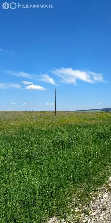 Участок в село Подлесная Тавла, Московская улица (13.3 м) - Фото 1