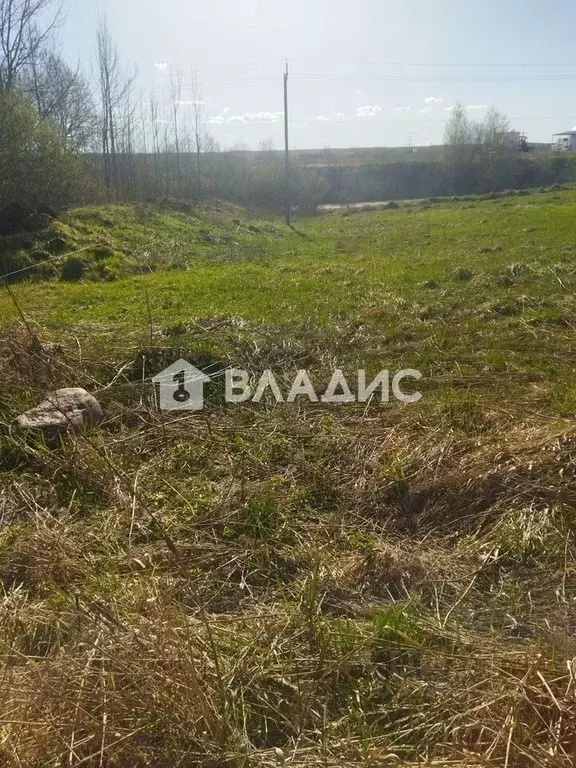 Участок в Ленинградская область, Волосовский район, д. Большая Вруда ... - Фото 1