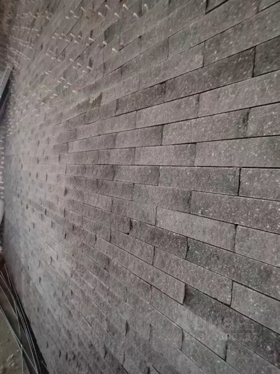 Помещение свободного назначения в Новосибирская область, Новосибирск ... - Фото 2