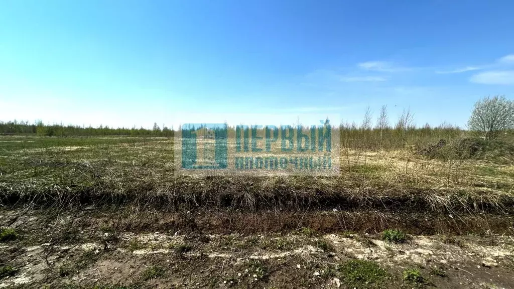 Участок в Марий Эл, Йошкар-Ола городской округ, д. Шоя-Кузнецово ул. ... - Фото 1
