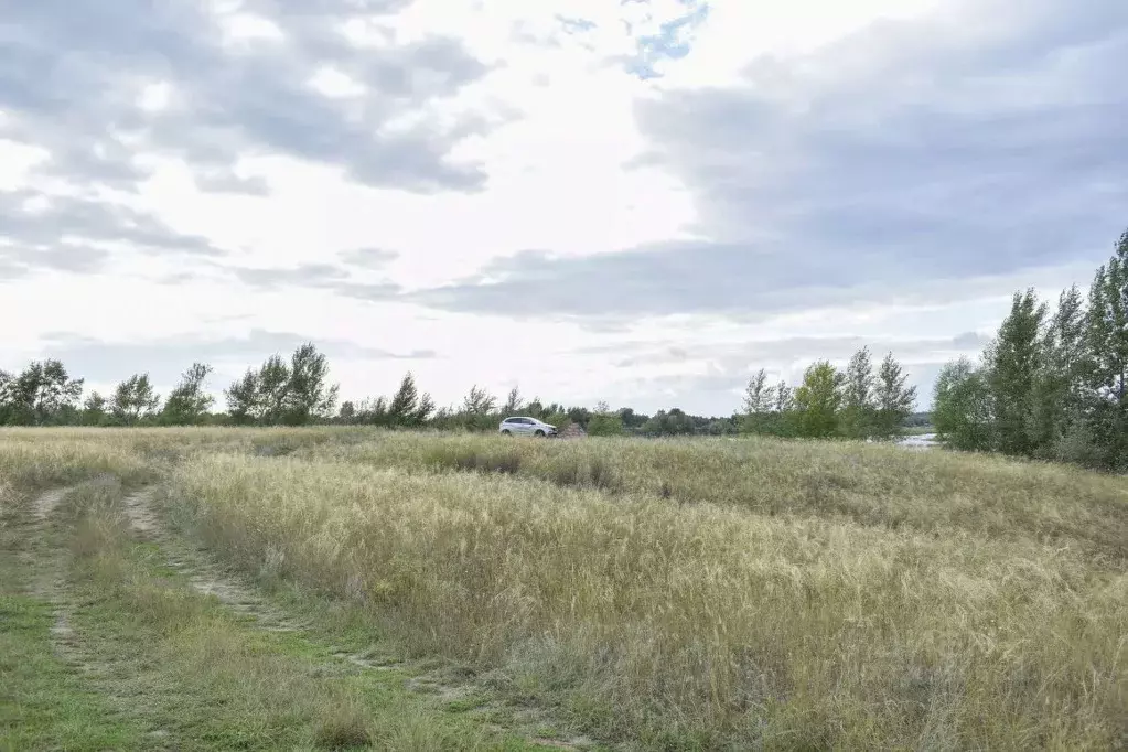 Участок в Оренбургская область, Илекский район, с. Кардаилово  (100.0 ... - Фото 2