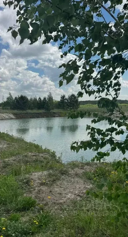 Участок в Тюменская область, Тюменский район, с. Кулаково ул. ... - Фото 0
