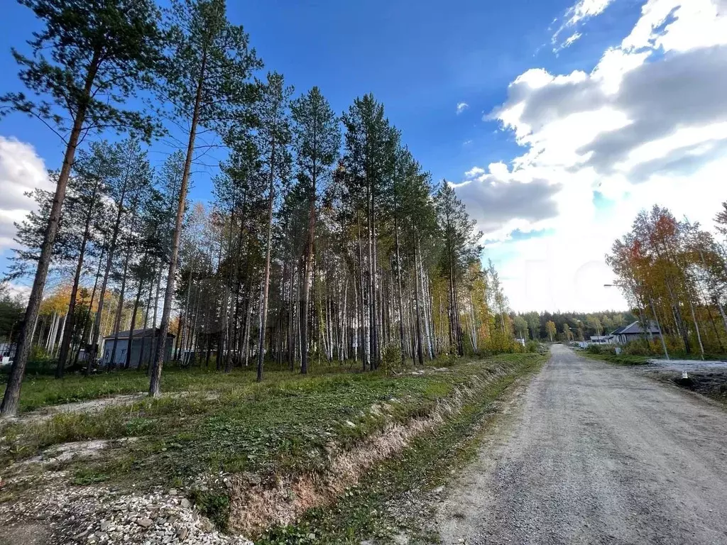 Участок в Свердловская область, Сысертский муниципальный округ, пос. ... - Фото 1