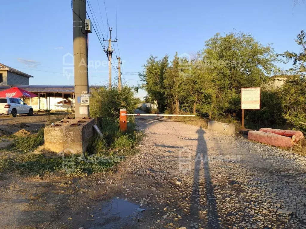 Участок в Волгоградская область, Волгоград Дзержинец СНТ, Винновский ... - Фото 1