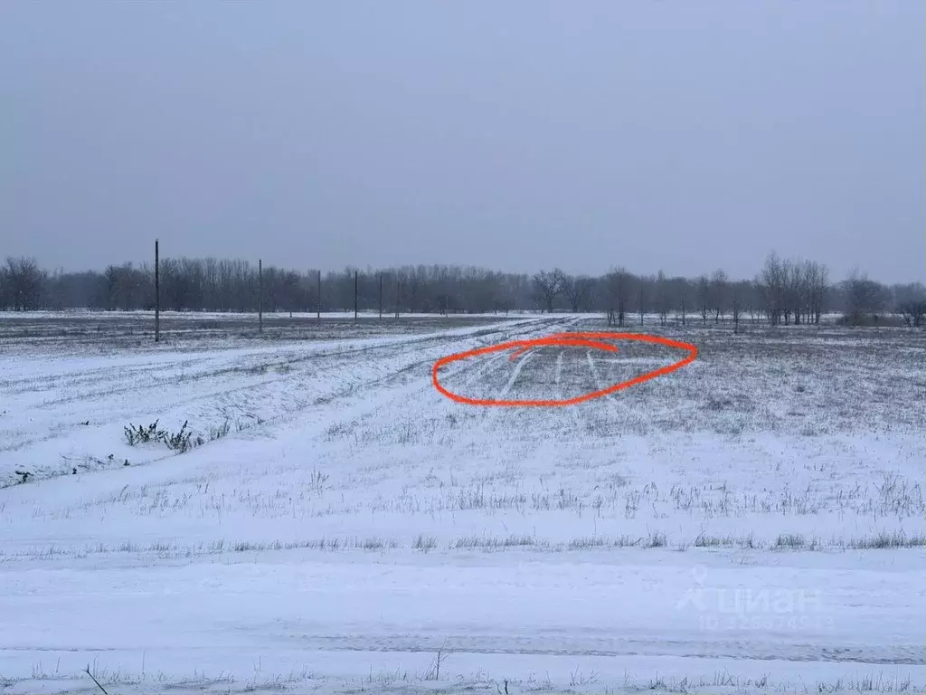 Участок в Волгоградская область, Среднеахтубинский район, Клетское ... - Фото 2