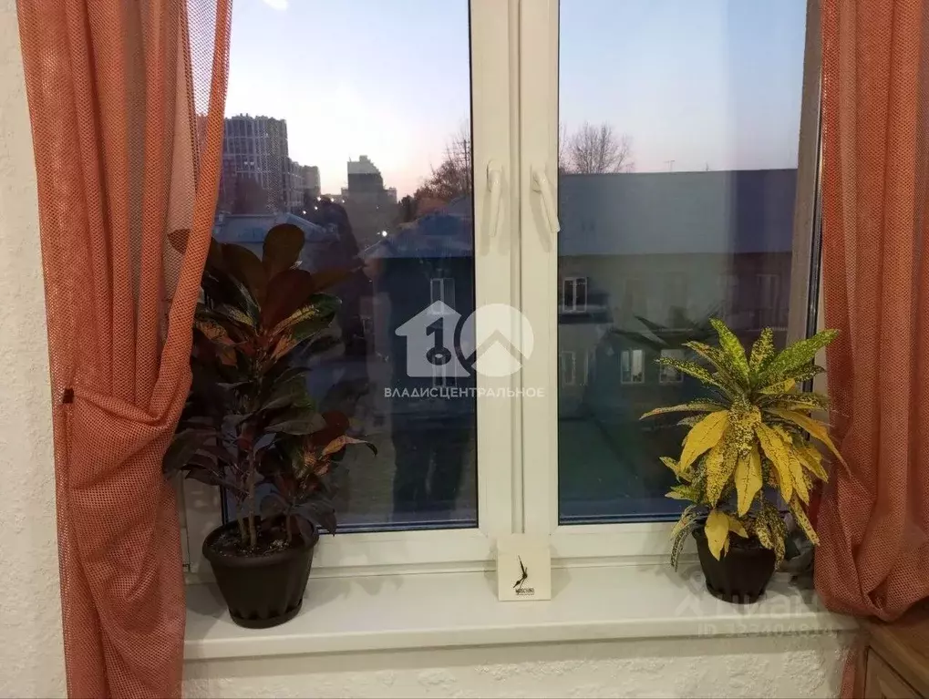 Студия Новосибирская область, Новосибирск Ленинградская ул., 347А ... - Фото 1