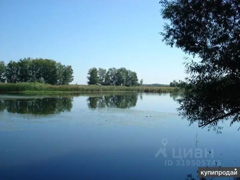 Участок в Самарская область, Ставропольский район, Нижнее Санчелеево ... - Фото 0