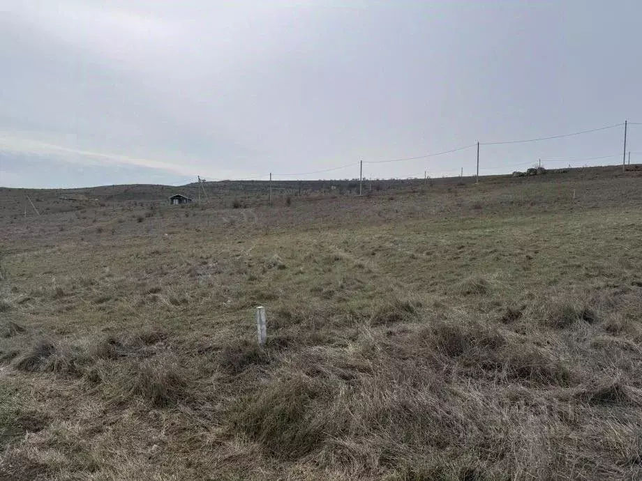 Участок в Крым, Симферопольский район, Чистенское с/пос, с. Камышинка  ... - Фото 2