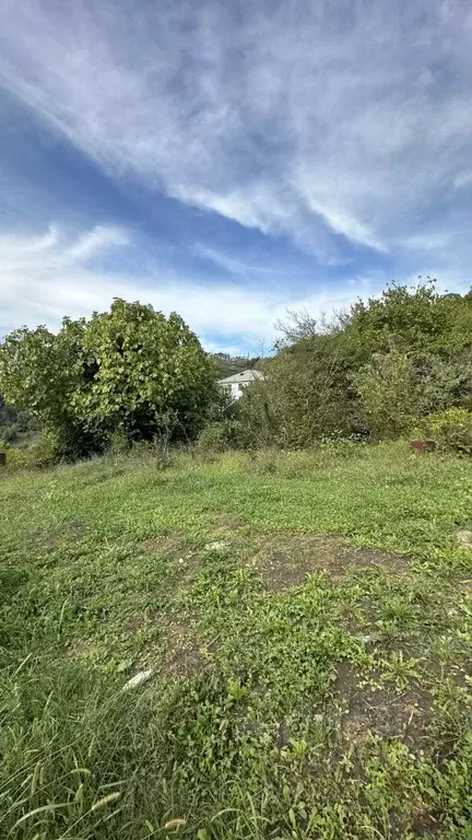 Участок в Краснодарский край, Сочи городской округ, с. Горное Лоо ул. ... - Фото 2