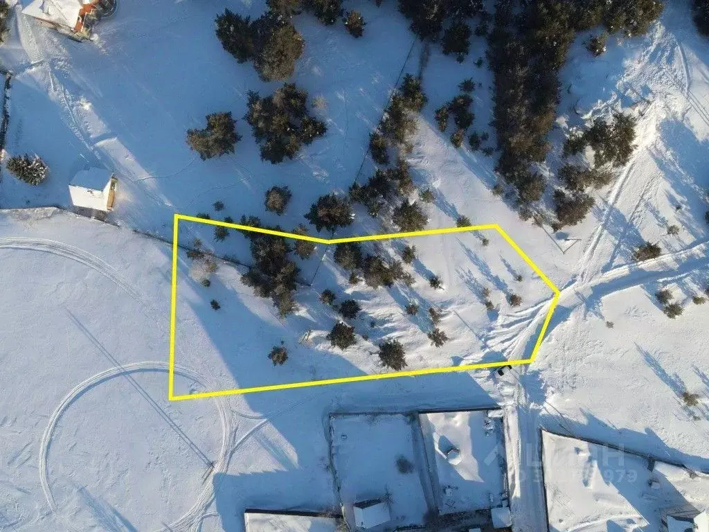 Участок в Свердловская область, Сысертский городской округ, д. Большое ... - Фото 1