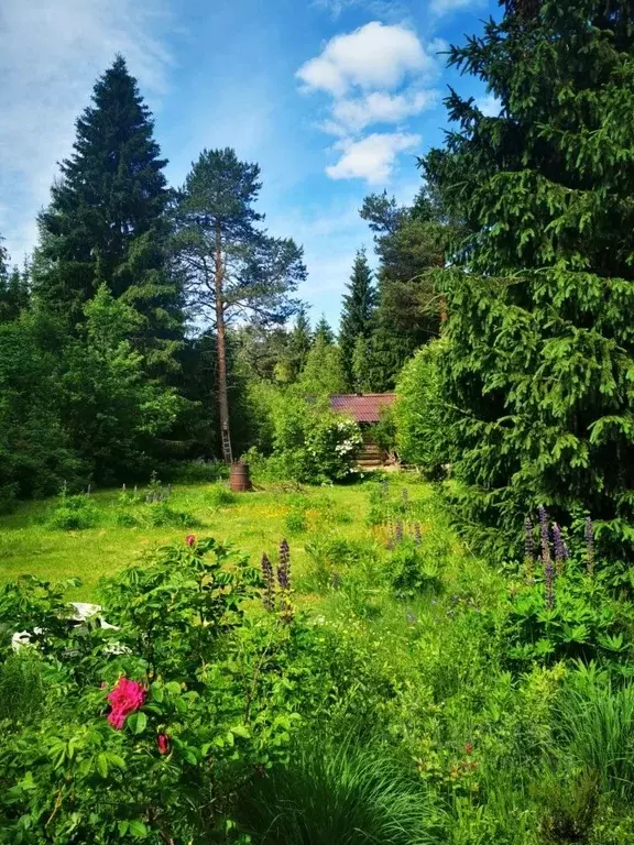 Дом в Ленинградская область, Приозерский район, Раздольевское с/пос, ... - Фото 1