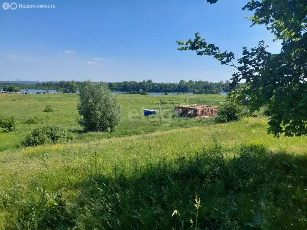 Участок в Уфимский район, Михайловский сельсовет, деревня Суровка ... - Фото 2