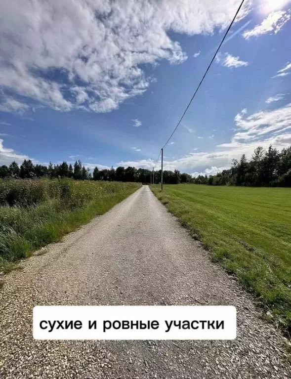 Участок в Ленинградская область, Гатчинский муниципальный округ, д. ... - Фото 1