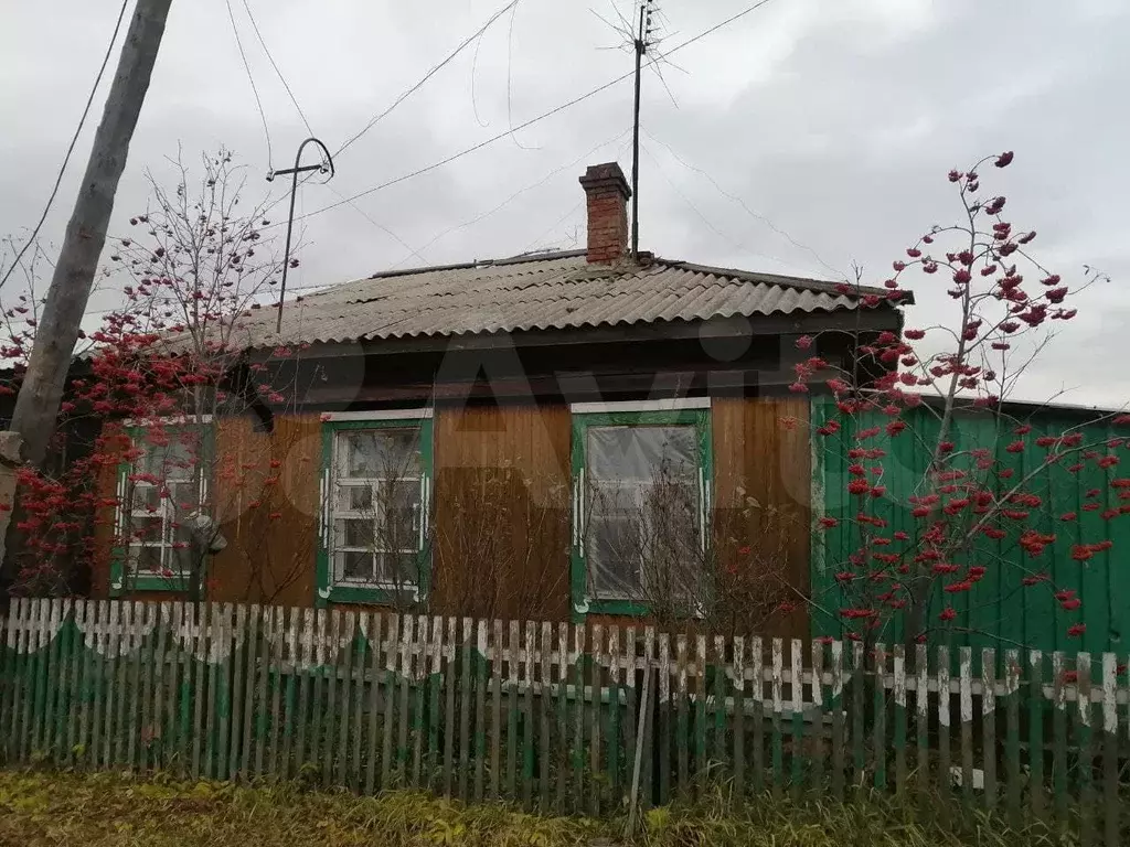 Купить Дом В Чистоозерном Новосибирской