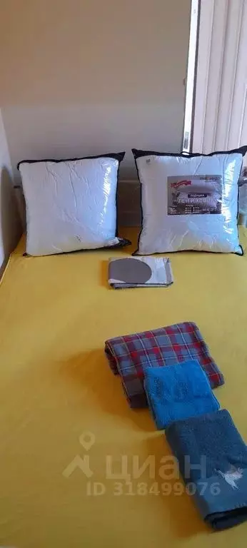 1-к кв. Крым, Алушта ул. Владимира Хромых, 29 (25.0 м) - Фото 1