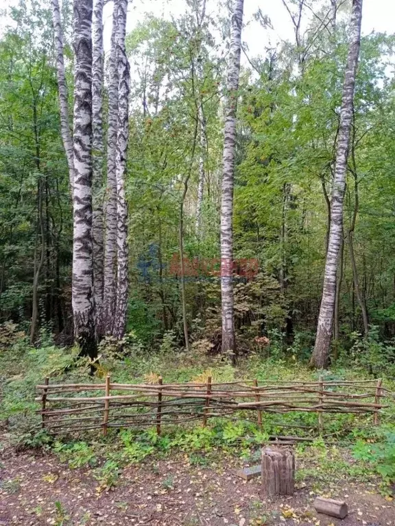 Участок в Ленинградская область, Всеволожский район, Колтушское ... - Фото 1