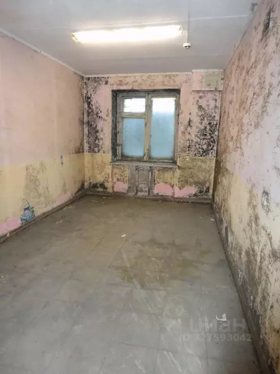 Помещение свободного назначения в Карелия, Петрозаводск Сулажгорская ... - Фото 2