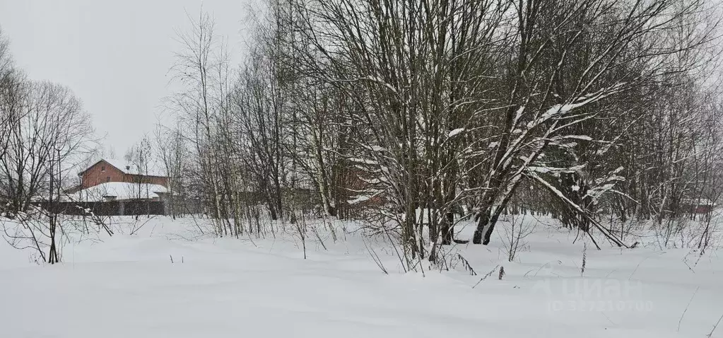 Участок в Московская область, Луховицы  (9.0 сот.) - Фото 2