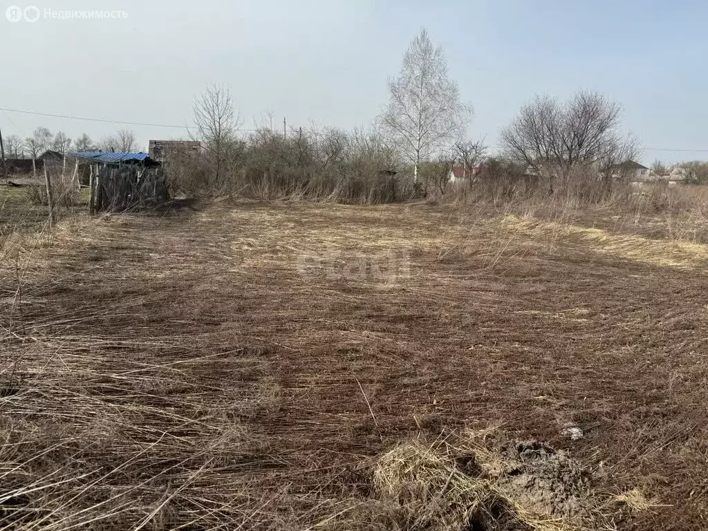 Участок в Брянск, садоводческое товарищество Надежда (4.57 м) - Фото 0