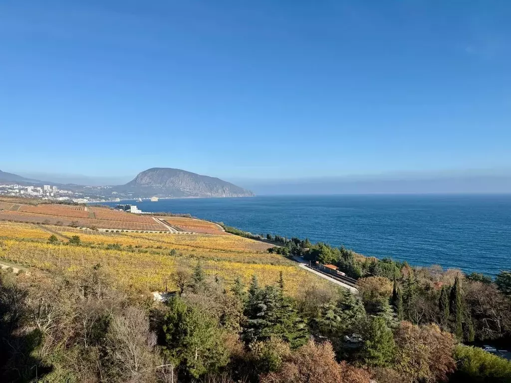 2-к кв. Крым, Ялта муниципальный округ, пос. Даниловка ул. Лесная, 4В ... - Фото 1