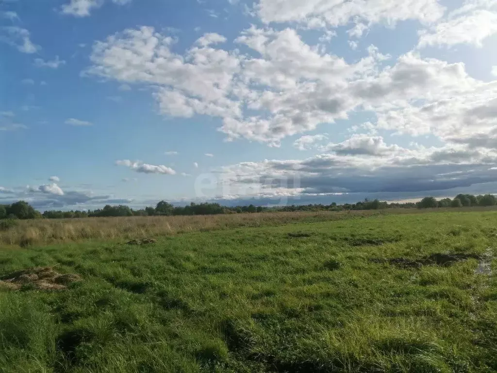 Участок в Ярославская область, Рыбинский муниципальный округ, д. ... - Фото 1