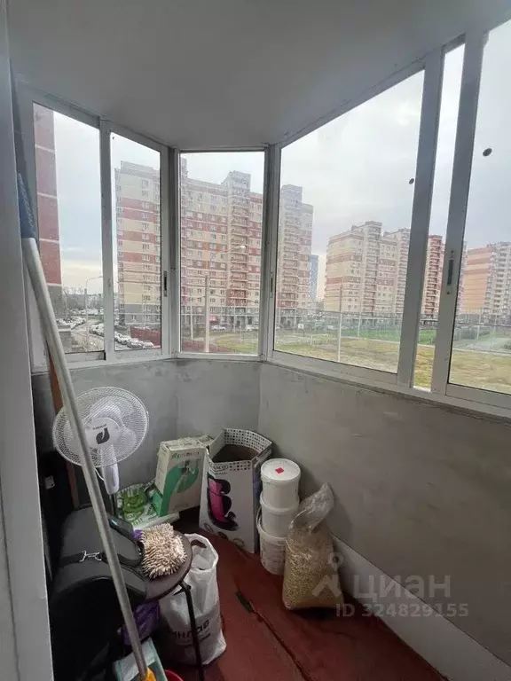 1-к кв. Московская область, Лосино-Петровский городской округ, ... - Фото 2