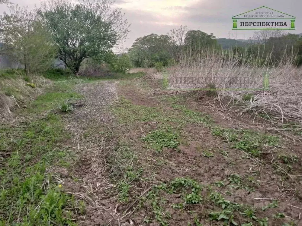 Участок в Приморский край, Шкотовский муниципальный округ, с. ... - Фото 2