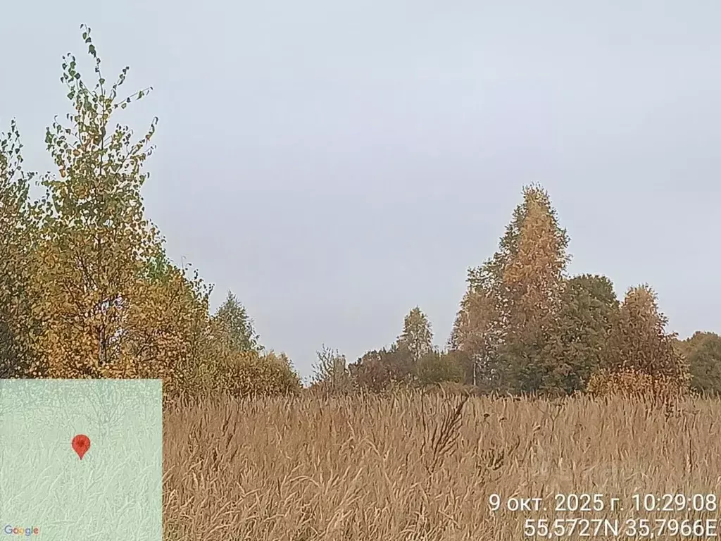 Участок в Московская область, Можайский муниципальный округ, д. ... - Фото 1