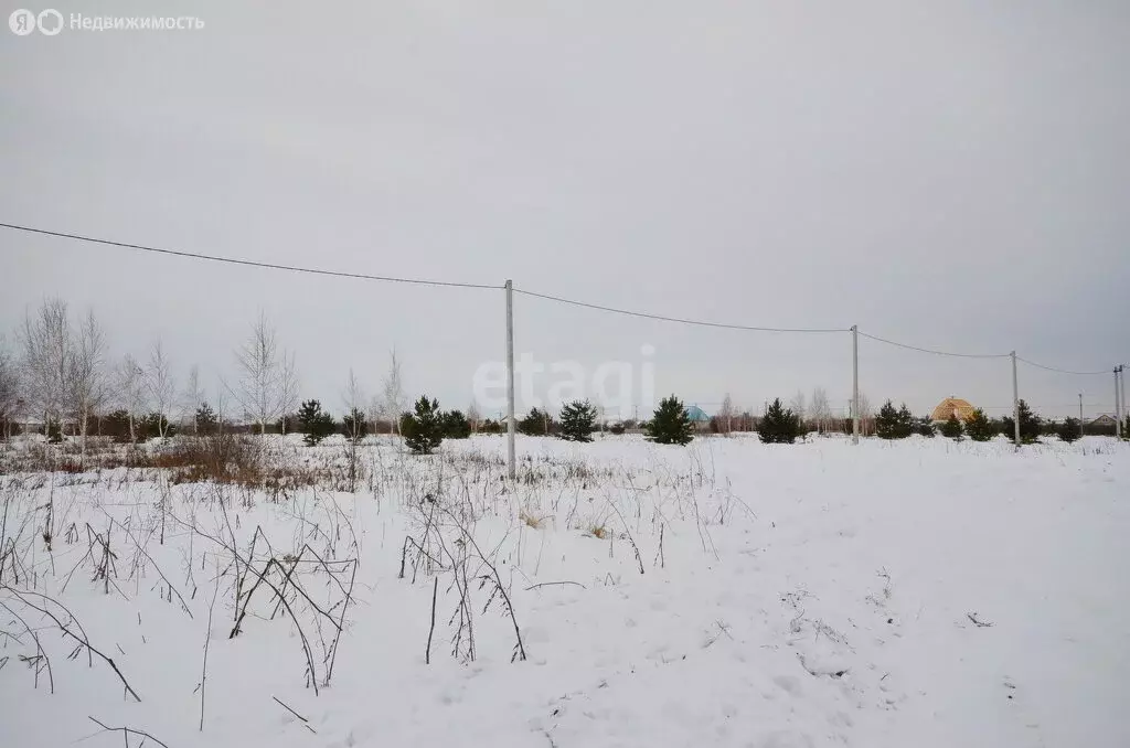 Участок в Ялуторовск, улица Егорова (10 м) - Фото 1