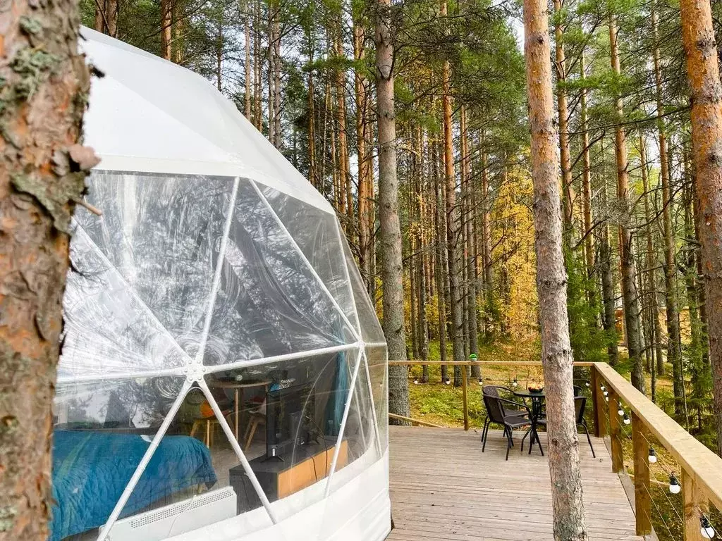 Комната Карелия, Пряжинский район, Эссойльское с/пос, пос. Сяпся ул. ... - Фото 1