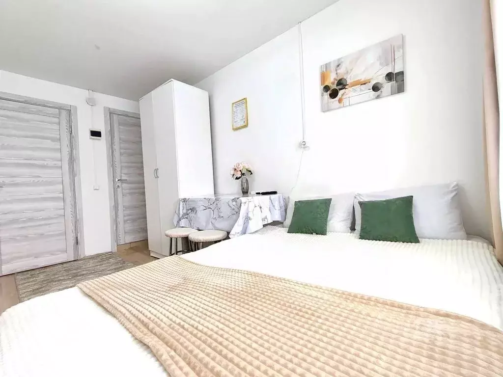 1-к кв. Самарская область, Самара Ново-Садовая ул., 273 (18.0 м) - Фото 2