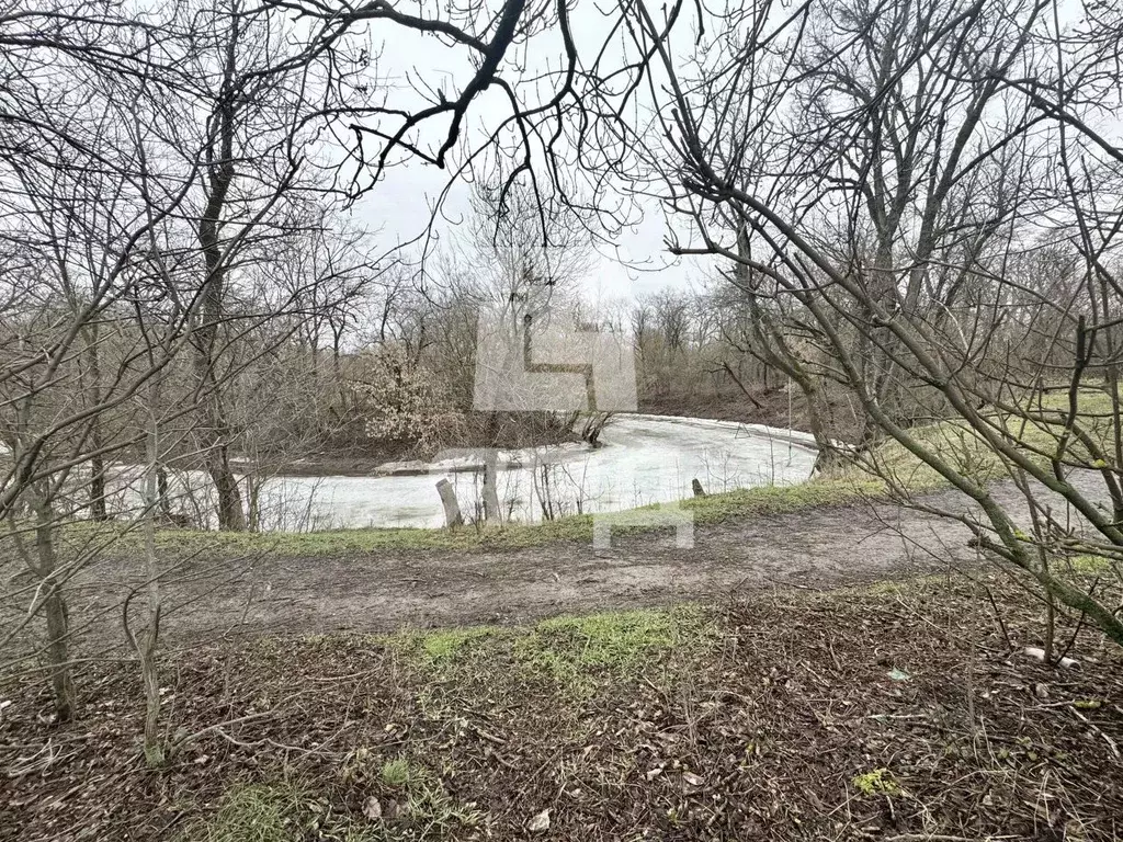 Участок в Ростовская область, Матвеево-Курганский район, Алексеевское ... - Фото 1